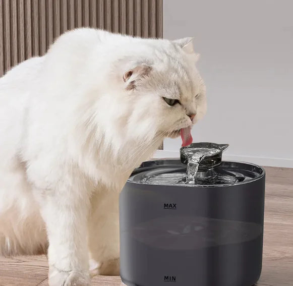 Cat Water Dispenser